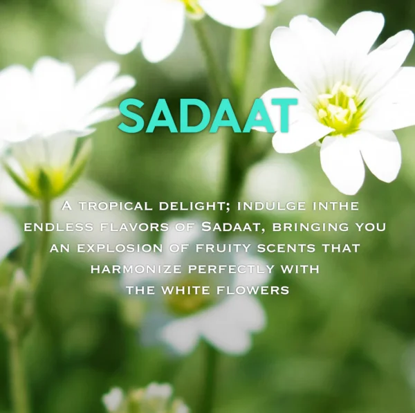 Sadaat - Image 6