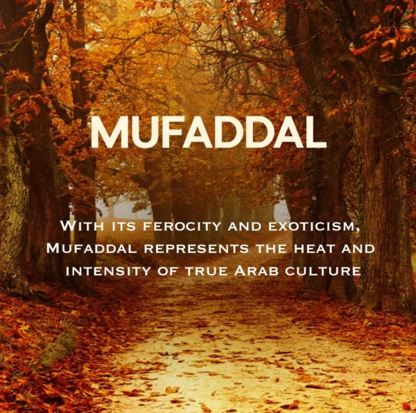 Mufaddal - Image 6